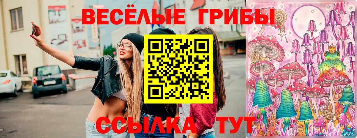 Псилоцибиновые грибы Psilocybe Анжеро-Судженск