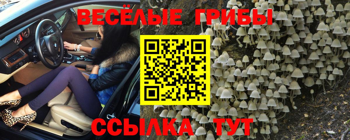 Анжеро-Судженск  Псилоцибиновые грибы Cubensis  Вход с VPN  Галлюциногенные грибы мухоморы 